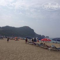 фото из отзыва ID 1608224