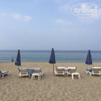 фото из отзыва ID 1608224