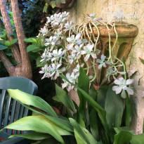 фото из отзыва ID 1608448