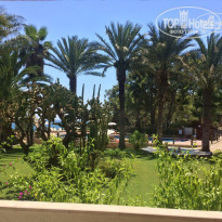 фото из отзыва ID 1608472