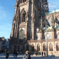 фото из отзыва ID 1608790