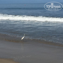 фото из отзыва ID 1608939