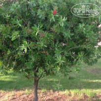 фото из отзыва ID 1608966