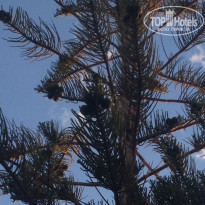 фото из отзыва ID 1608966