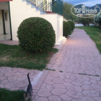 фото из отзыва ID 1608966