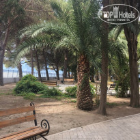 фото из отзыва ID 1608967