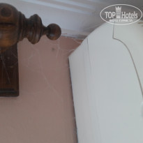 фото из отзыва ID 1609127