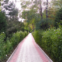 фото из отзыва ID 1607250