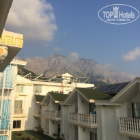 фото из отзыва ID 1609504