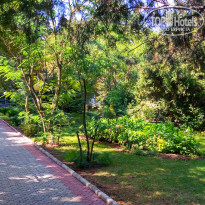 фото из отзыва ID 1607250