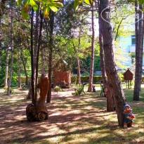 фото из отзыва ID 1607250