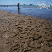 фото из отзыва ID 1609786