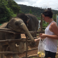 фото из отзыва ID 1609906