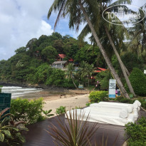 фото из отзыва ID 1609906