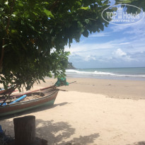 фото из отзыва ID 1609906