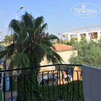 фото из отзыва ID 1609910