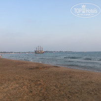 фото из отзыва ID 1609910