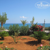 фото из отзыва ID 1609993