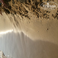 фото из отзыва ID 1601702