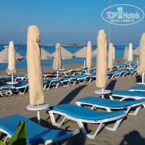 фото из отзыва ID 1606100