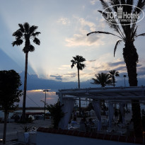 фото из отзыва ID 1602134