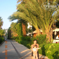 фото из отзыва ID 161548