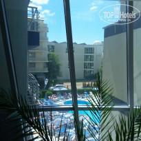 фото из отзыва ID 1610178