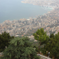 фото из отзыва ID 1610198