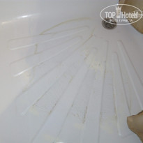 фото из отзыва ID 1610364