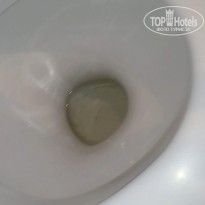 фото из отзыва ID 1610364