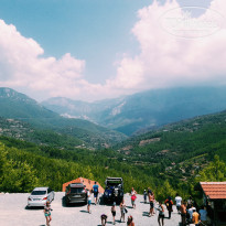 фото из отзыва ID 1610404