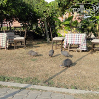 фото из отзыва ID 1610605