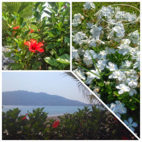 фото из отзыва ID 1610616