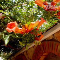 фото из отзыва ID 1610616