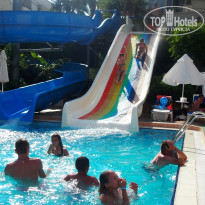 фото из отзыва ID 1610616