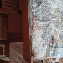 фото из отзыва ID 1610689