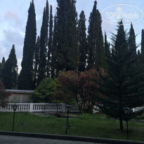 фото из отзыва ID 1610900