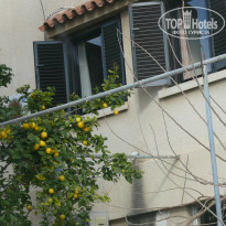 фото из отзыва ID 1610951