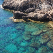 фото из отзыва ID 1610952