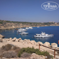 фото из отзыва ID 1610952