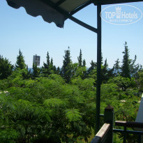 фото из отзыва ID 1611035