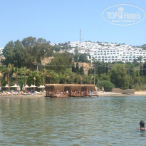 фото из отзыва ID 1611094