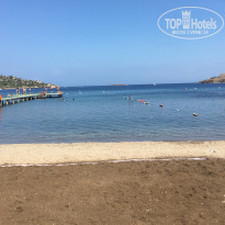 фото из отзыва ID 1611155