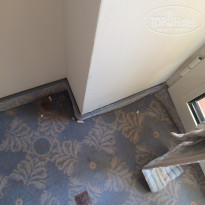 фото из отзыва ID 1611202