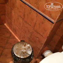 фото из отзыва ID 1611202