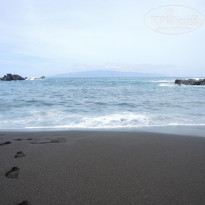 фото из отзыва ID 1611248