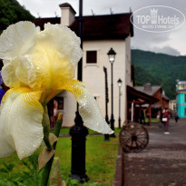 фото из отзыва ID 1610974