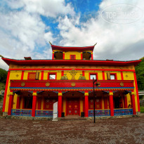 фото из отзыва ID 1610974