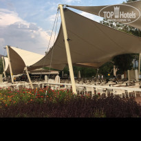 фото из отзыва ID 1611328