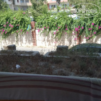 фото из отзыва ID 1611350